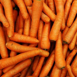 A close-up view of fresh organic carrots, perfect for healthy eating concepts.