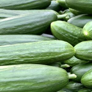 A heap of fresh green cucumbers showcasing their vibrant color and natural texture.