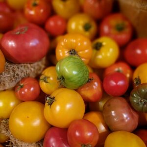 A vibrant collection of heirloom tomatoes showcasing diverse colors and shapes, perfect for fresh ingredients.